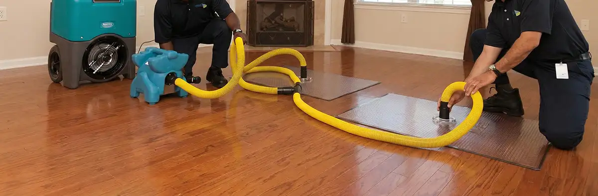 emergency water removal technicians extracting standing water from a home using professional equipment in Savannah, GA
